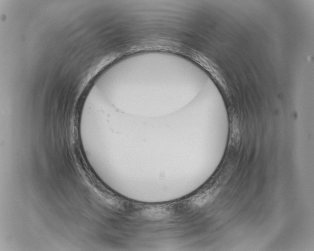 X0000066080578200603241434