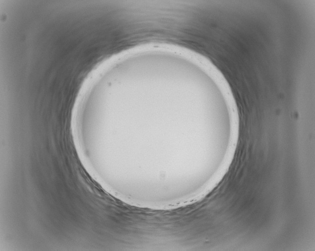 X0000066080579200603241434