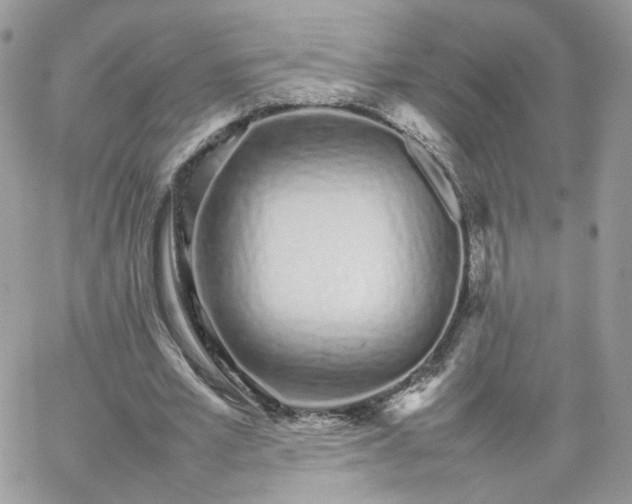 X0000066080581200603241434