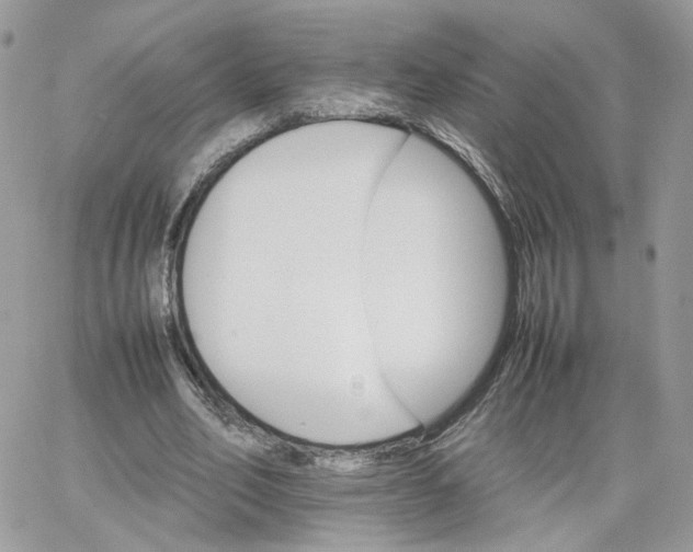 X0000066080582200603241434