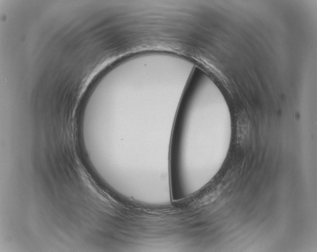 X0000066080584200603241434