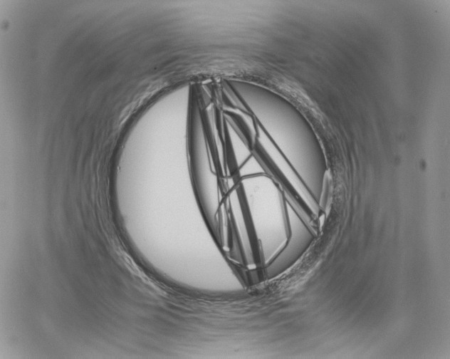 X0000066080585200603241434