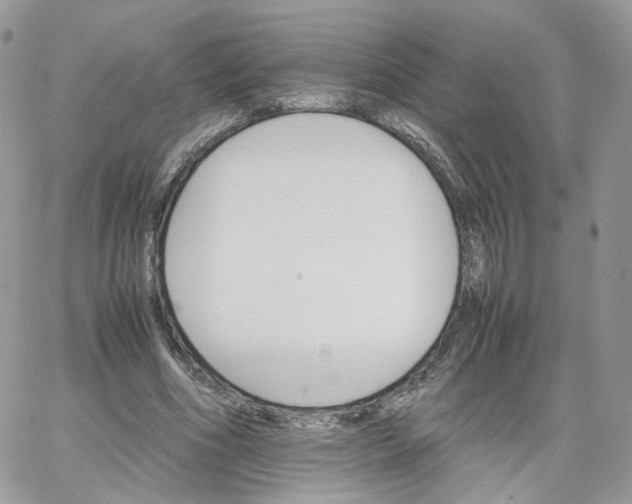 X0000066080586200603241434