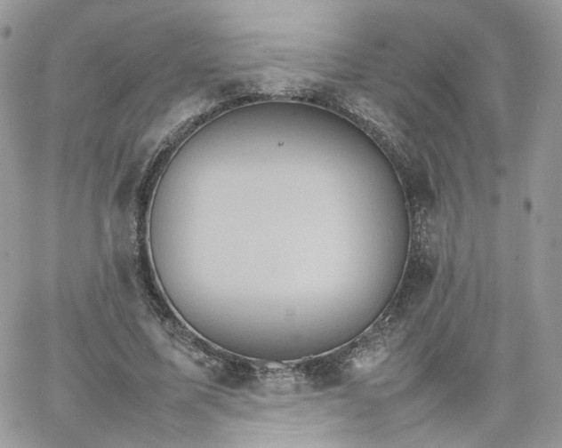 X0000066080587200603241434