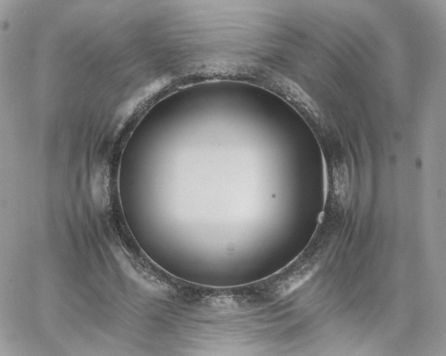 X0000066080588200603241434