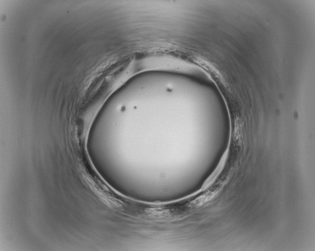 X0000066080589200603241434