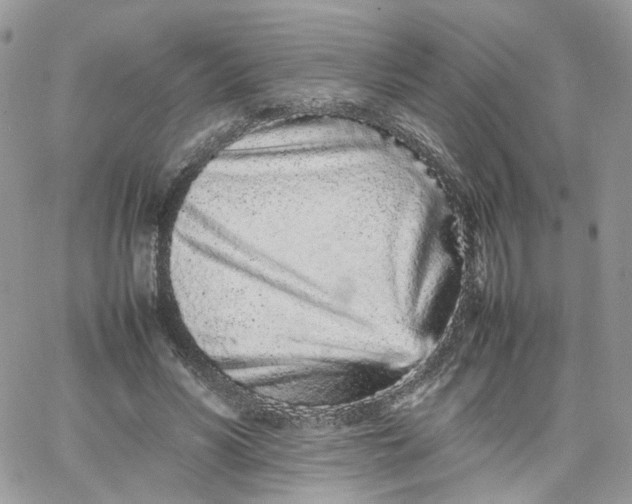 X0000066080590200603241434