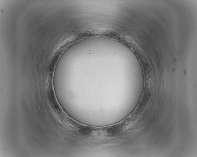 X0000066080591200603241434