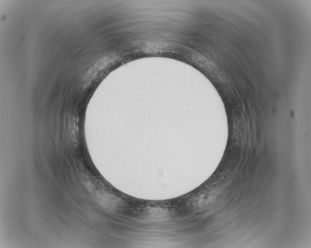 X0000066080592200603241434