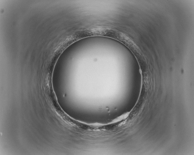 X0000066080593200603241434