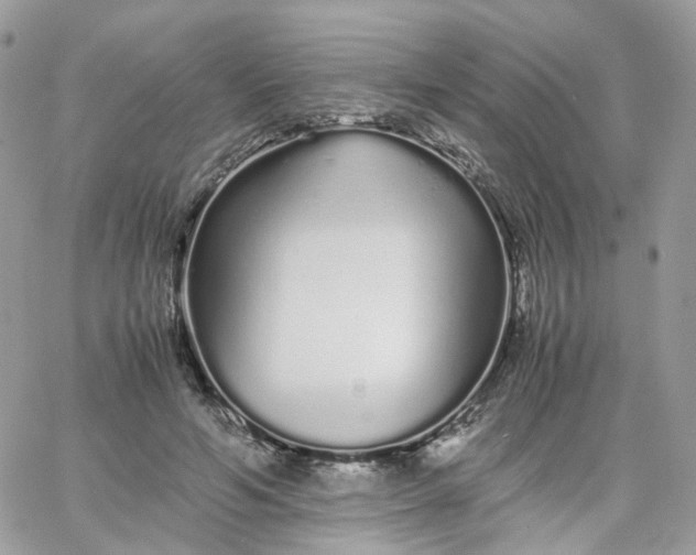 X0000066080594200603241434