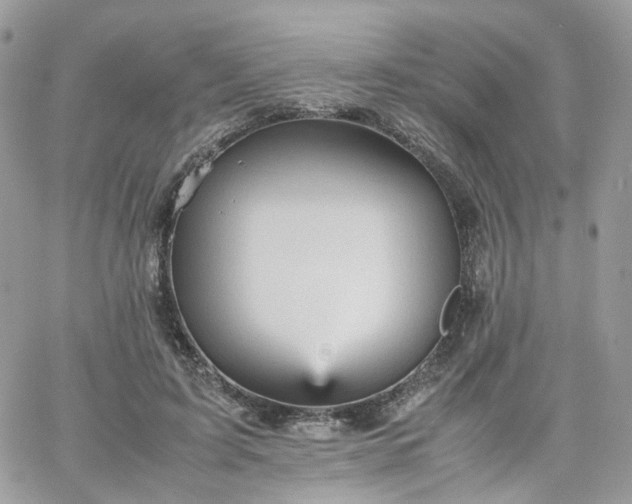 X0000066080595200603241434