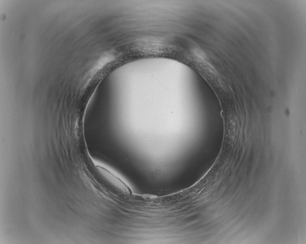 X0000066080596200603241434