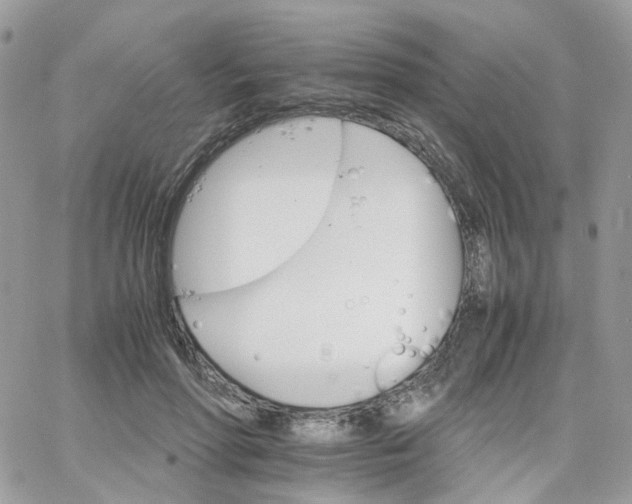 X0000066080598200603241434