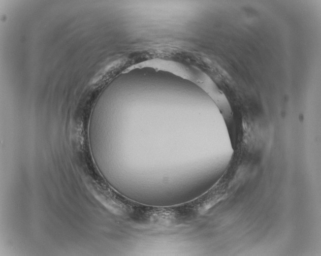 X0000066080599200603241434