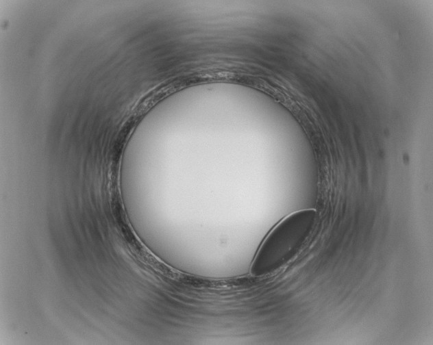 X0000066080600200603241434