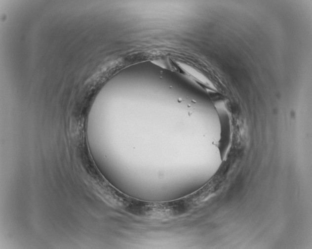 X0000066080601200603241434