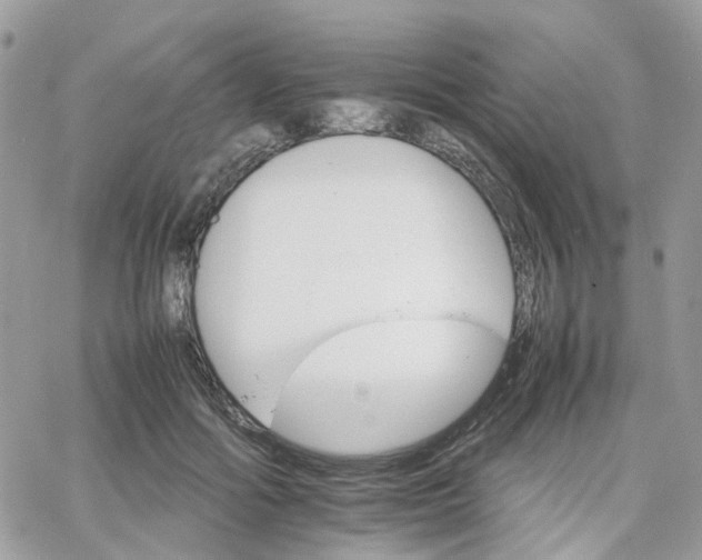 X0000066080602200603241434