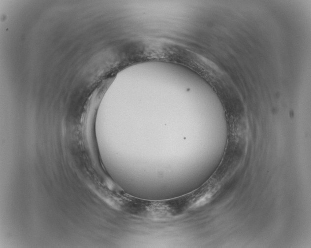 X0000066080603200603241434