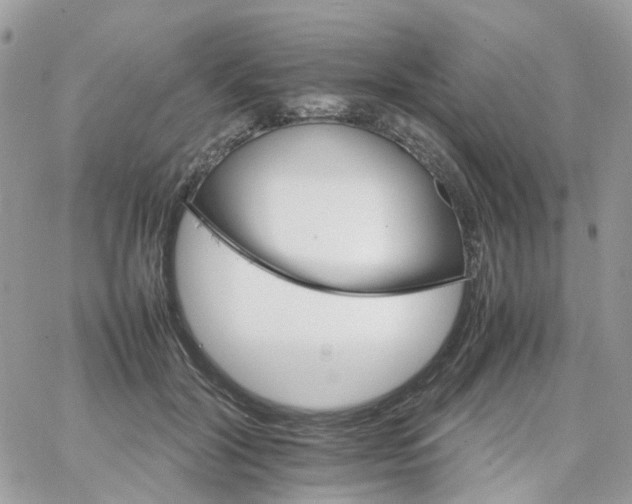 X0000066080604200603241434