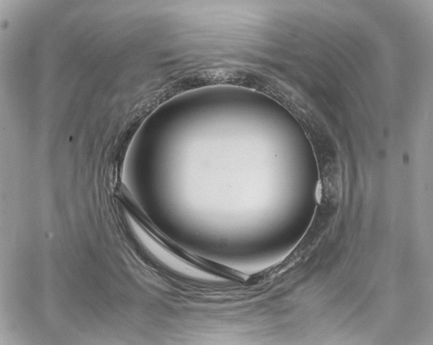 X0000066080605200603241434