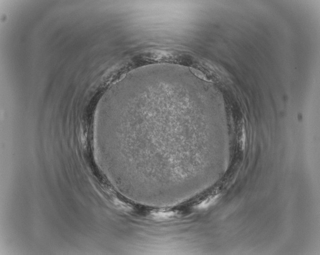 X0000066080607200603241434