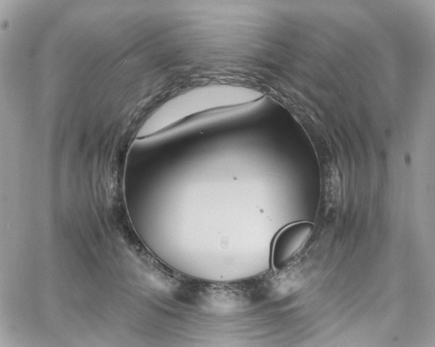 X0000066080608200603241434