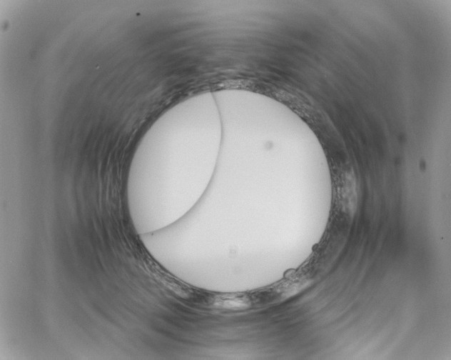 X0000066080610200603241433