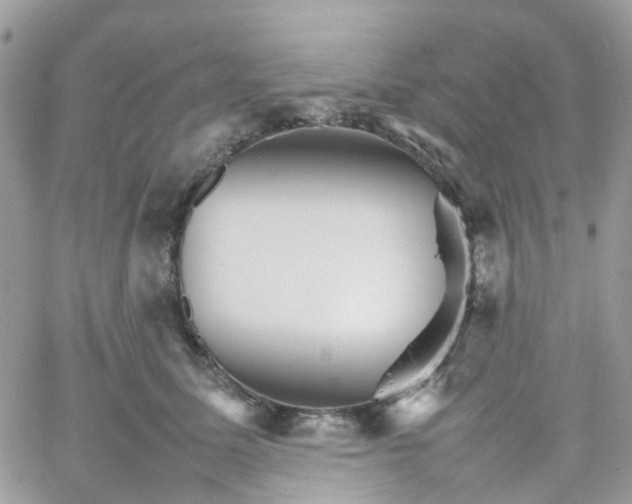 X0000066080611200603241433