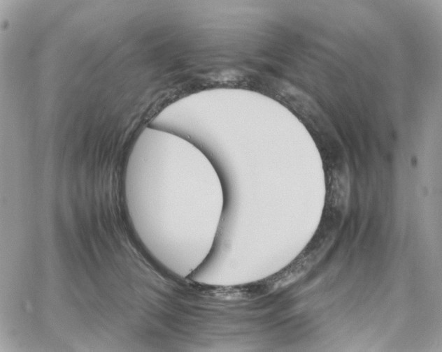 X0000066080612200603241433