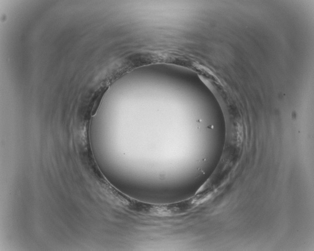 X0000066080613200603241433