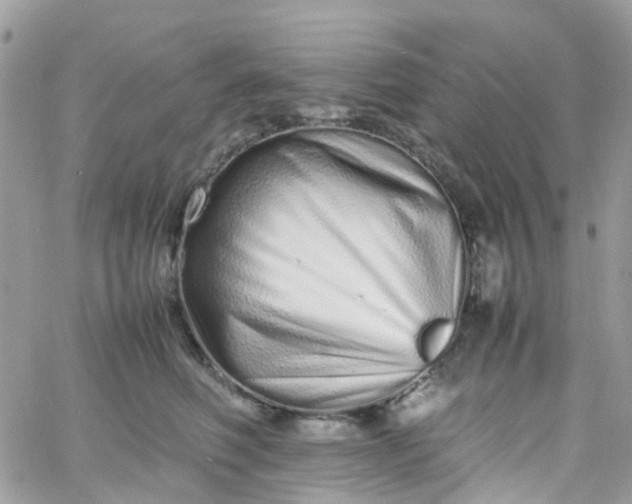 X0000066080614200603241433