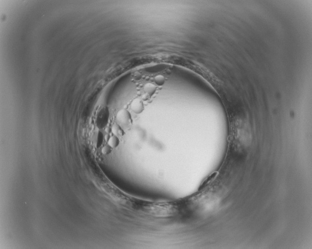 X0000066080615200603241433