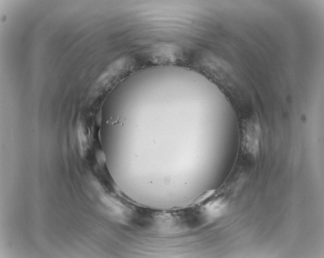 X0000066080616200603241433