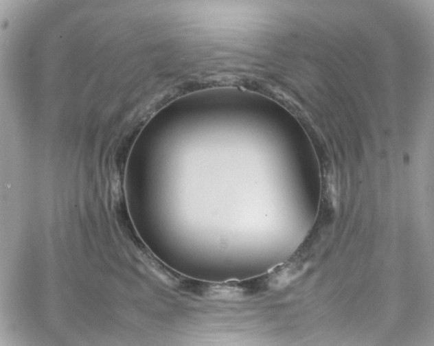 X0000066080617200603241433