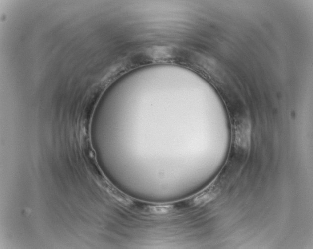 X0000066080618200603241433