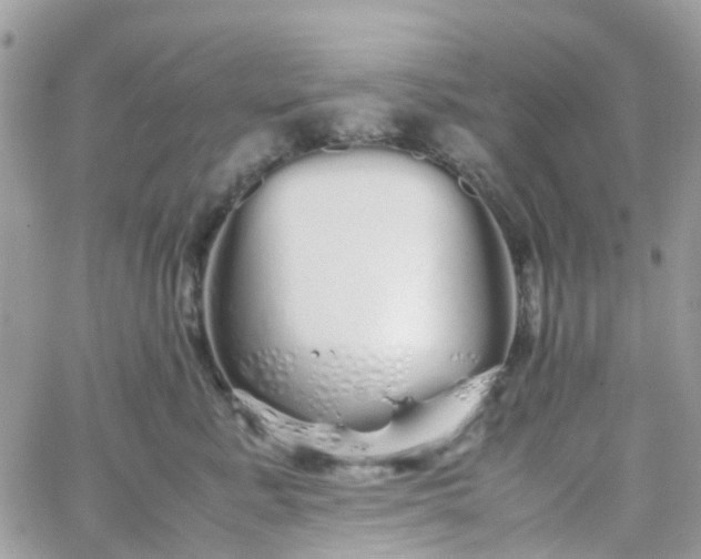 X0000066080619200603241433