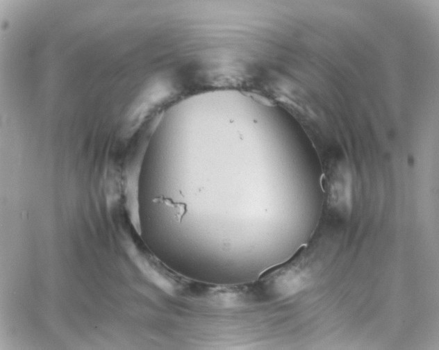 X0000066080620200603241433