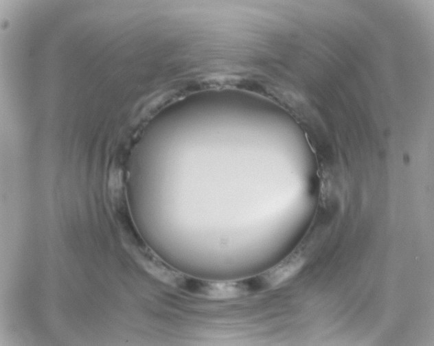 X0000066080623200603241433