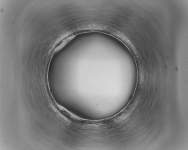 X0000066080625200603241432