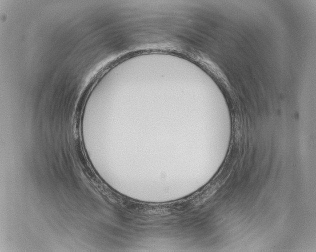 X0000066080628200603241432