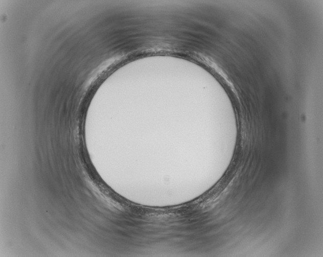 X0000066080629200603241433