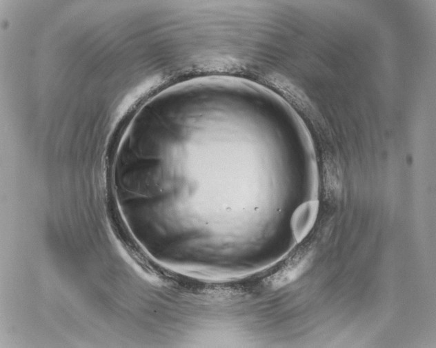 X0000066080630200603241433