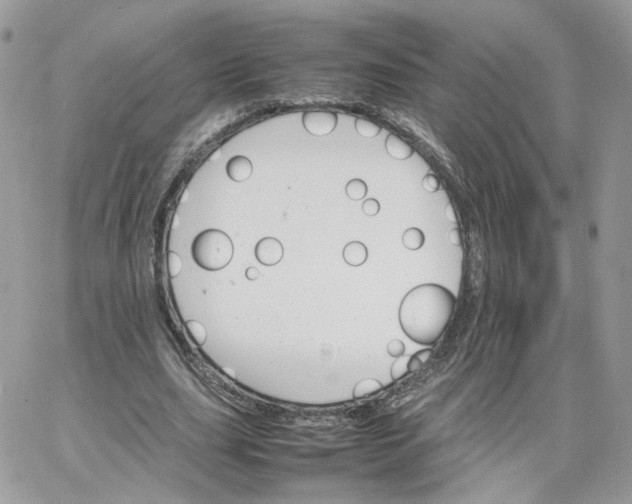 X0000066080631200603241433