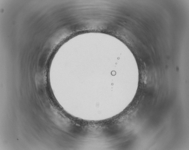 X0000066080632200603241433