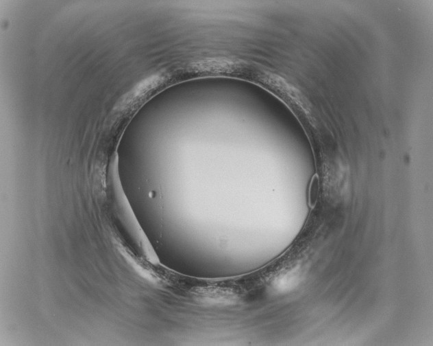 X0000066080633200603241433