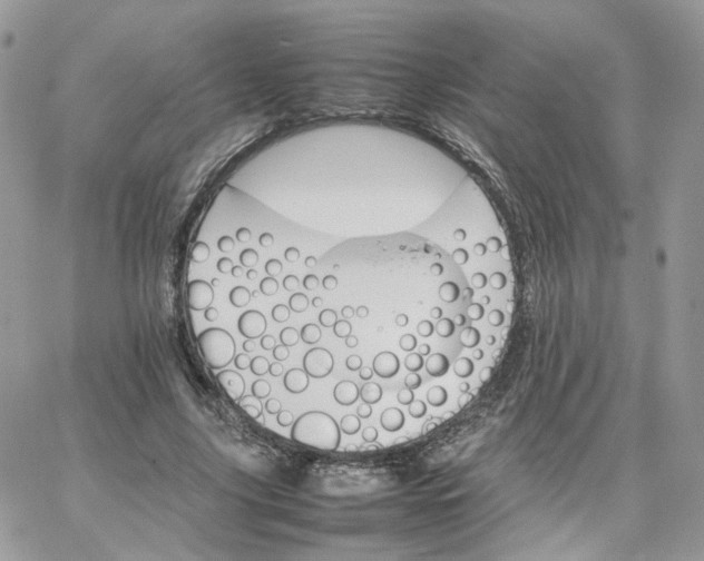 X0000066080635200603241433