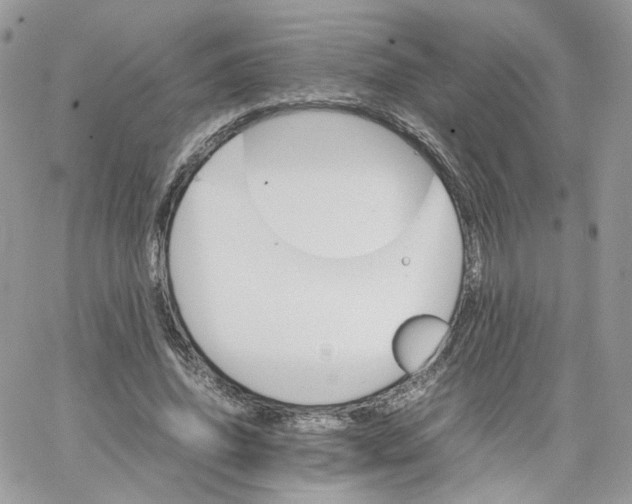 X0000066080636200603241433