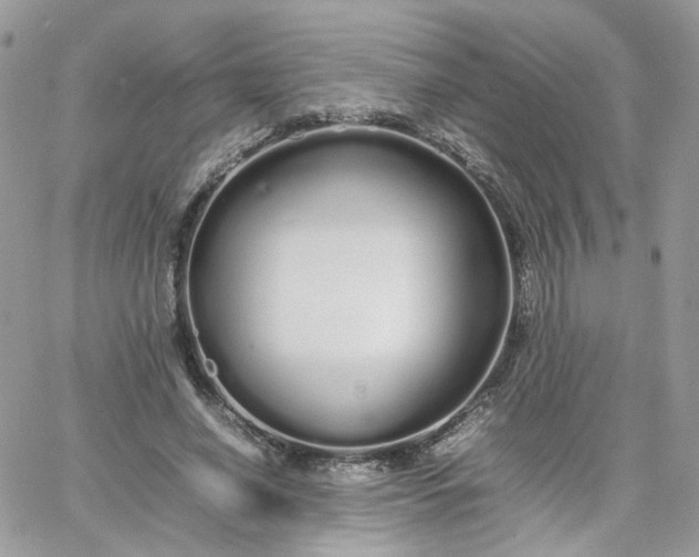 X0000066080638200603241433