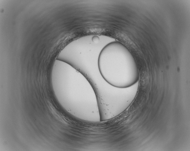 X0000066080639200603241433